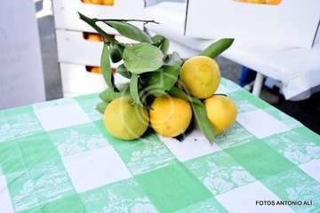 Jinámar celebra el Día del Artesano y el Labrador (Foto Antonio Alí)